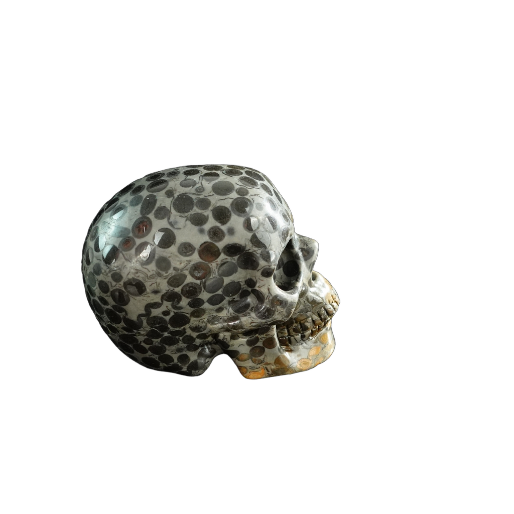 3.0" Leopard skin jasper Crystal Skull Carving - Unique Piece #LK02