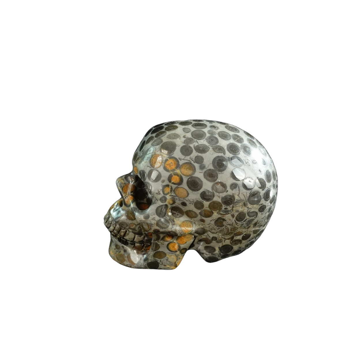 3.0" Leopard skin jasper Crystal Skull Carving - Unique Piece #LK02