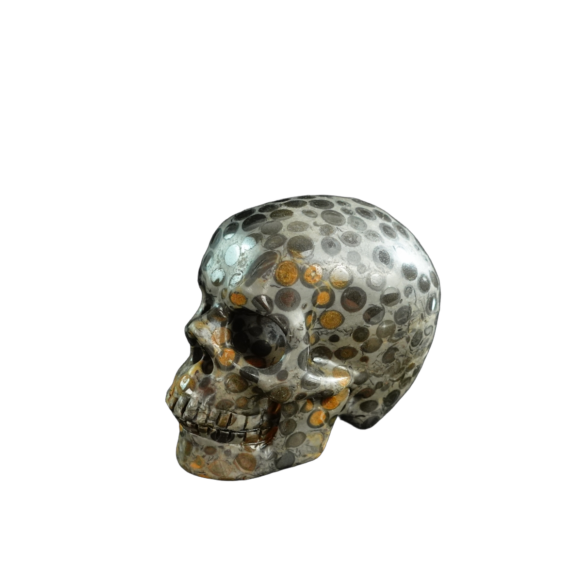 3.0" Leopard skin jasper Crystal Skull Carving - Unique Piece #LK02