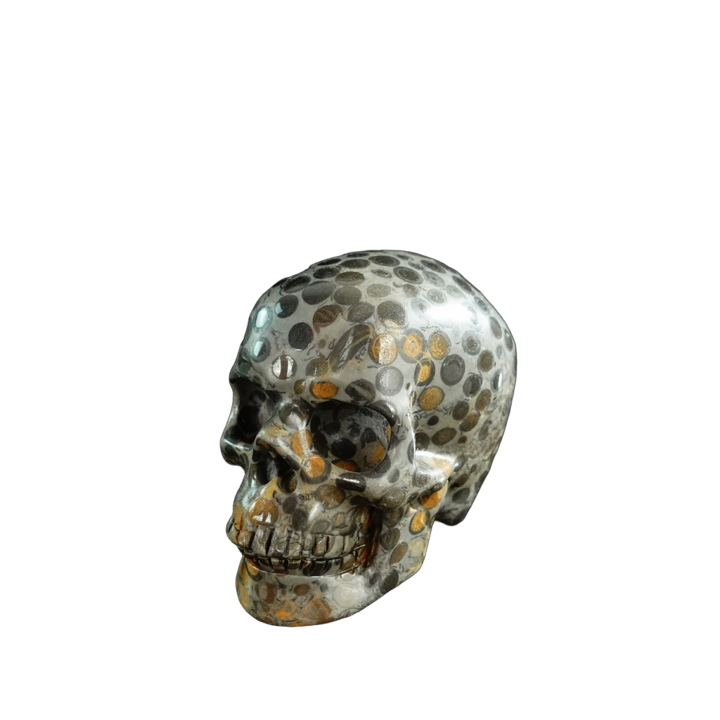 3.0" Leopard skin jasper Crystal Skull Carving - Unique Piece #LK02