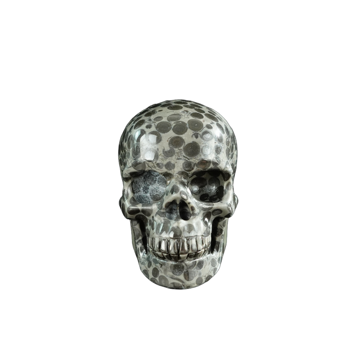 3.0" Leopard skin jasper Crystal Skull Carving - Hand Carved Decor