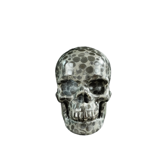 3.0" Leopard skin jasper Crystal Skull Carving - Hand Carved Decor
