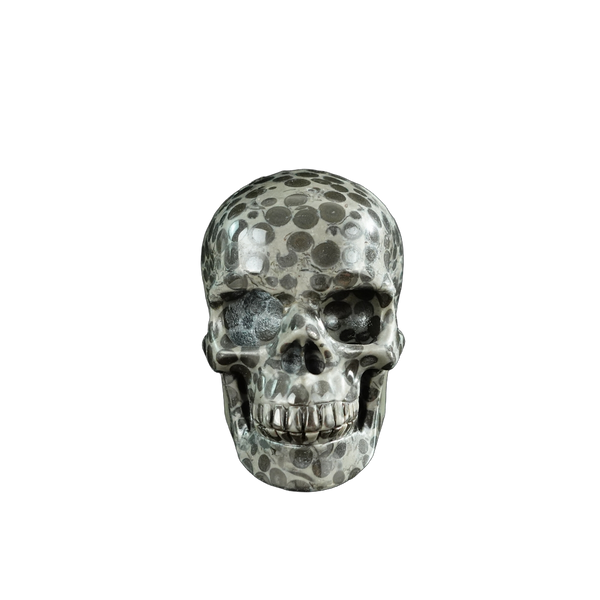 3.0" Leopard skin jasper Crystal Skull Carving - Hand Carved Decor