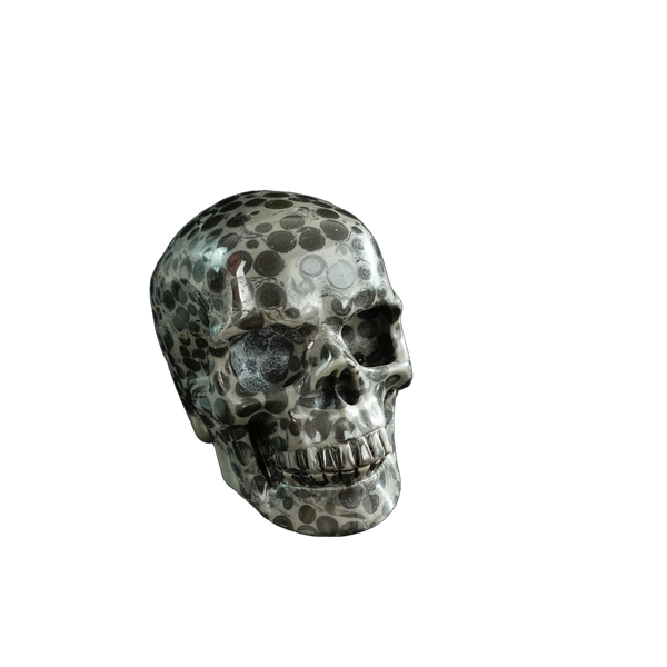 3.0" Leopard skin jasper Crystal Skull Carving - Hand Carved Decor - alternate view