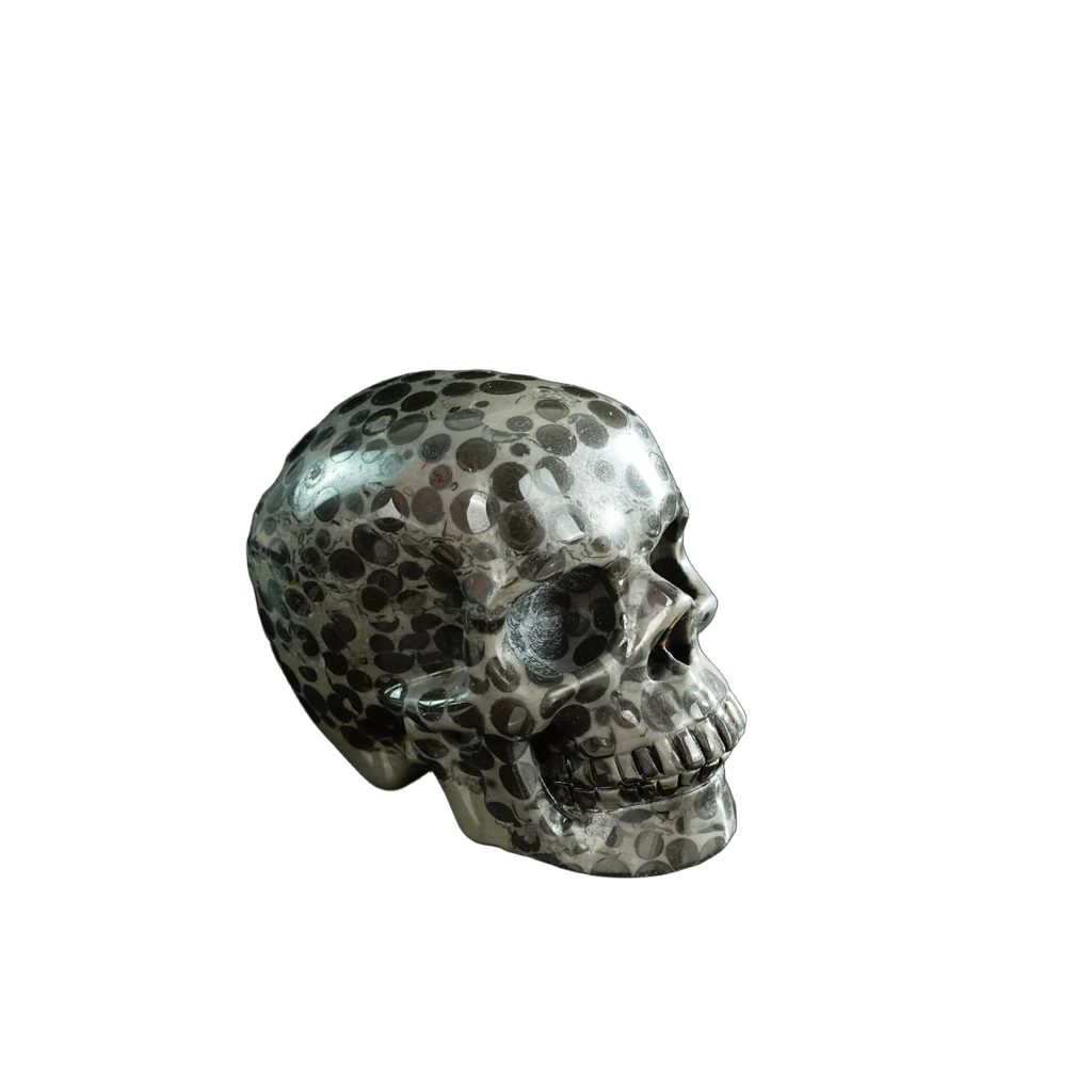 3.0" Leopard skin jasper Crystal Skull Carving - Hand Carved Decor