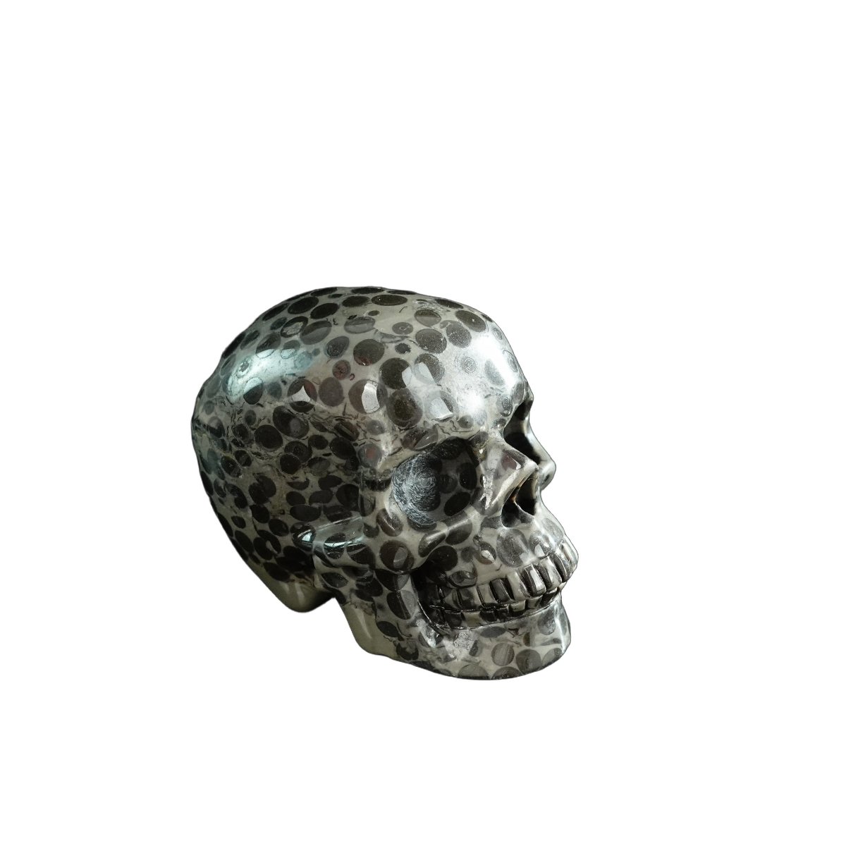 3.0" Leopard skin jasper Crystal Skull Carving - Hand Carved Decor