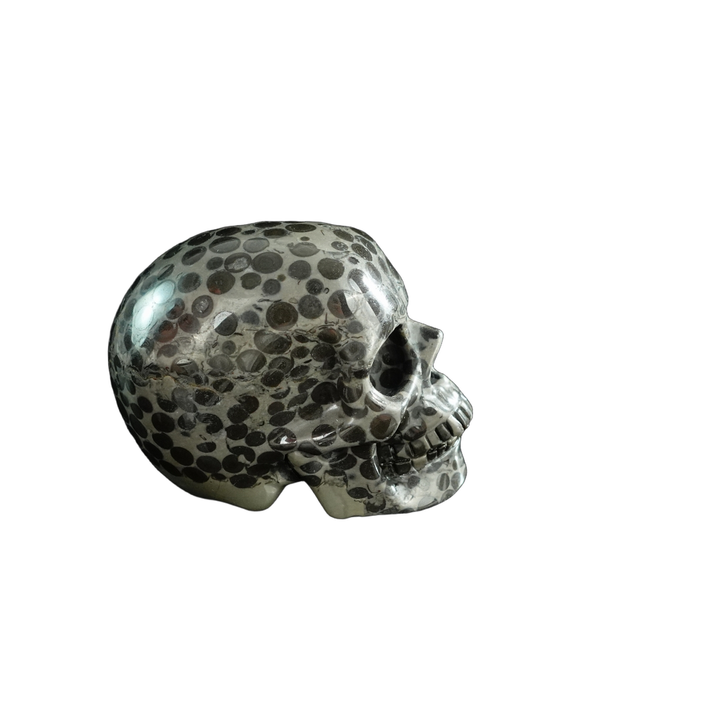 3.0" Leopard skin jasper Crystal Skull Carving - Hand Carved Decor