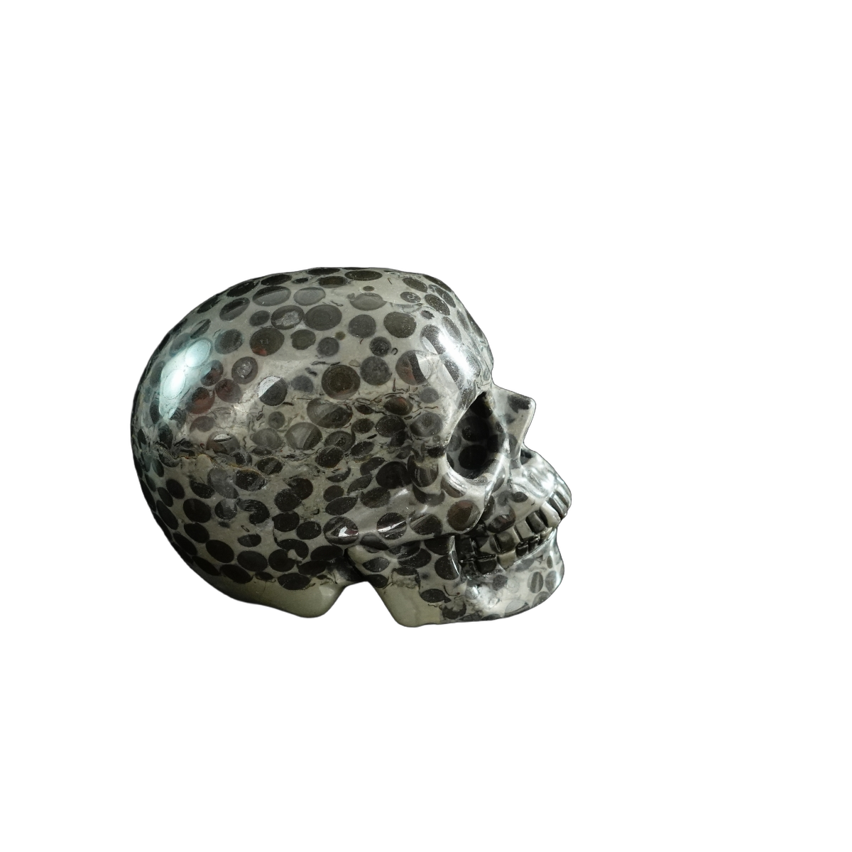 3.0" Leopard skin jasper Crystal Skull Carving - Hand Carved Decor