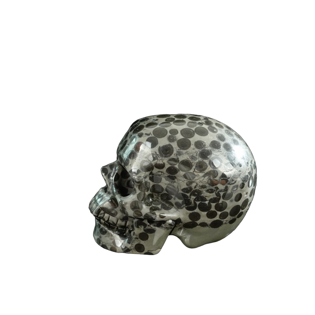 3.0" Leopard skin jasper Crystal Skull Carving - Hand Carved Decor
