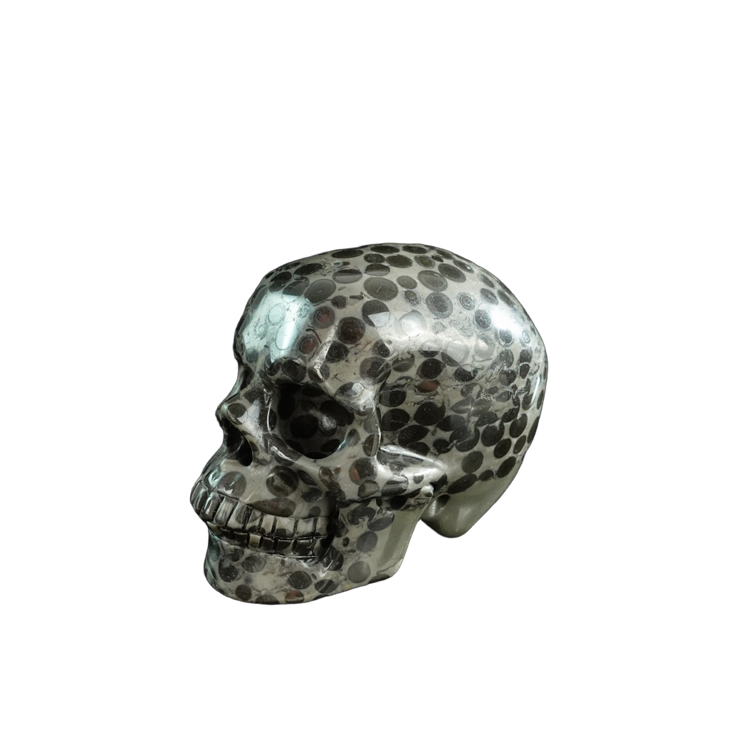 3.0" Leopard skin jasper Crystal Skull Carving - Hand Carved Decor
