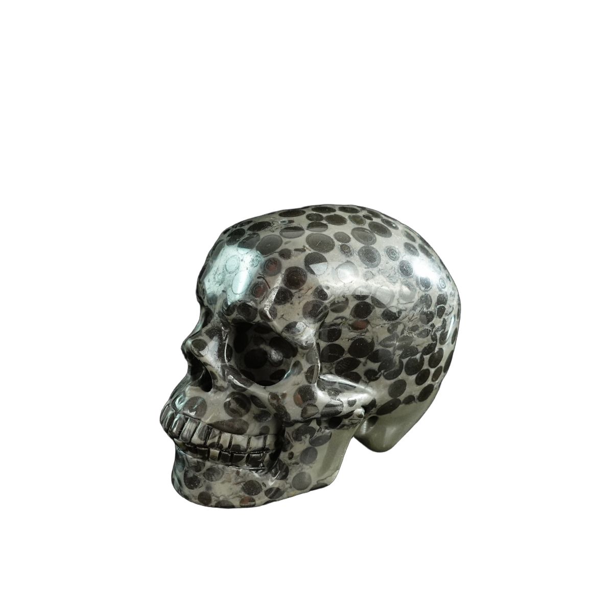 3.0" Leopard skin jasper Crystal Skull Carving - Hand Carved Decor