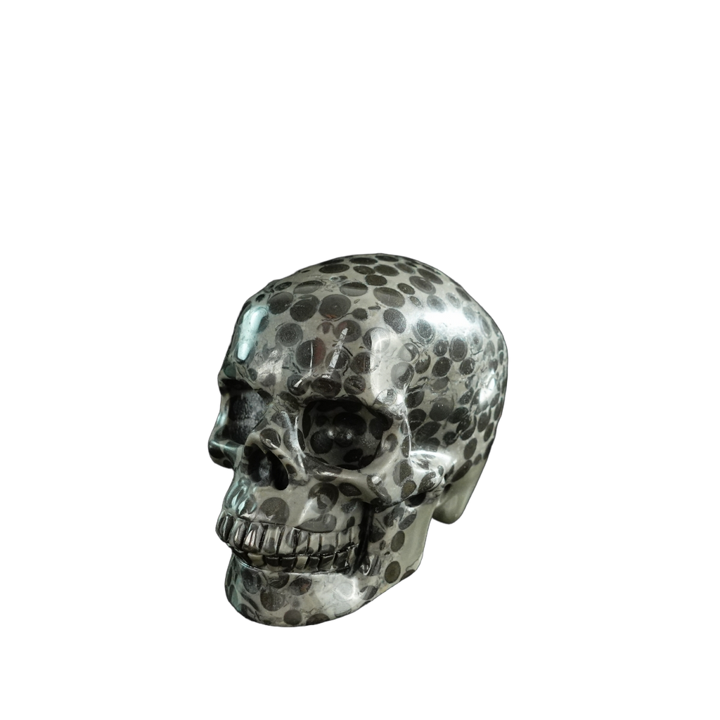 3.0" Leopard skin jasper Crystal Skull Carving - Hand Carved Decor