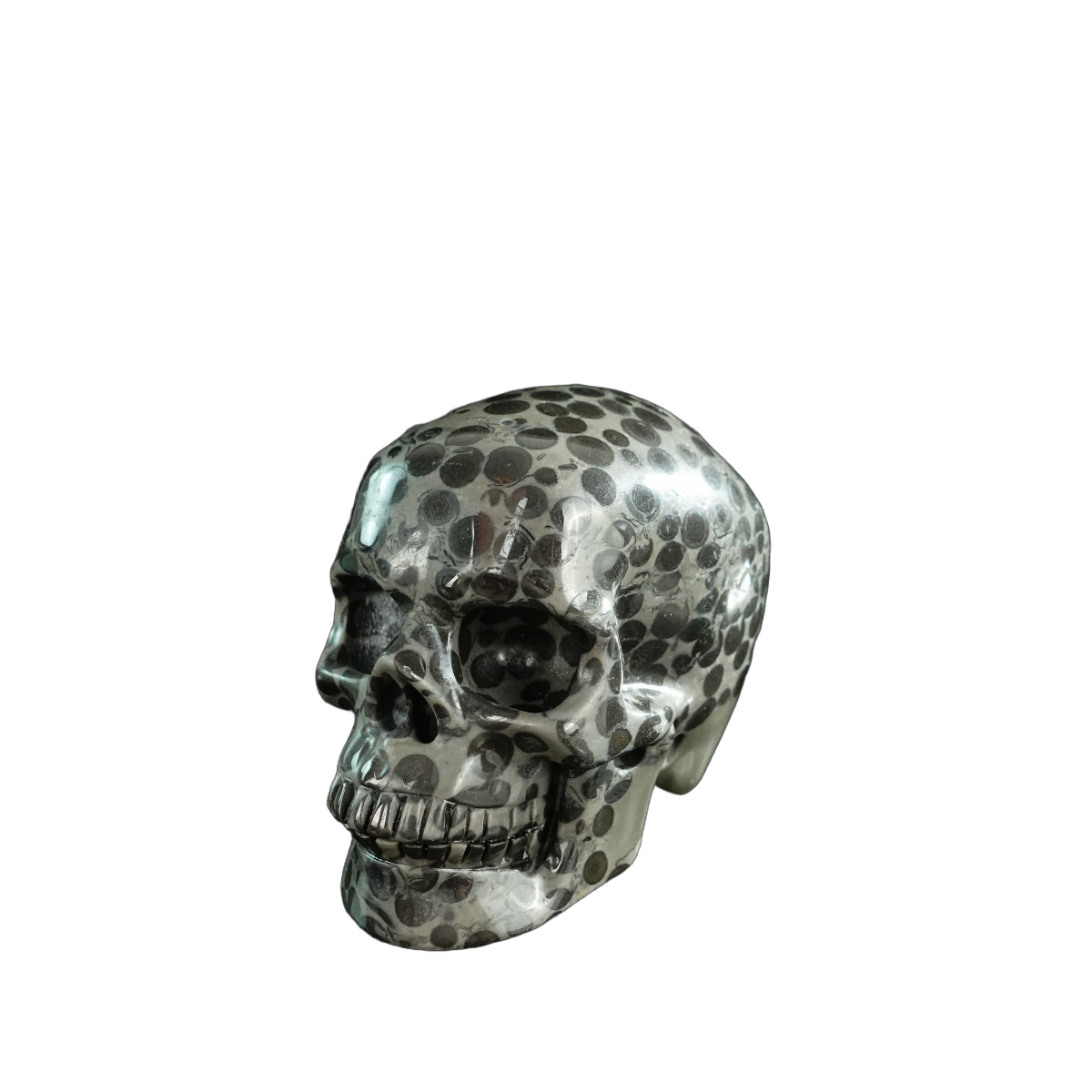 3.0" Leopard skin jasper Crystal Skull Carving - Hand Carved Decor