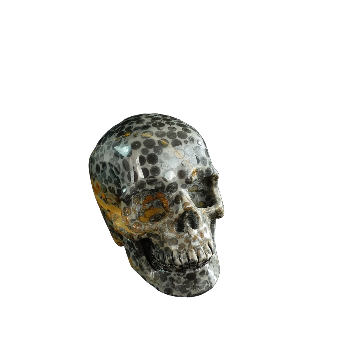 3.0" Leopard skin jasper Crystal Skull Carving - Unique Piece #LK06