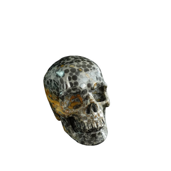 3.0" Leopard skin jasper Crystal Skull Carving - Unique Piece #LK06 - alternate view