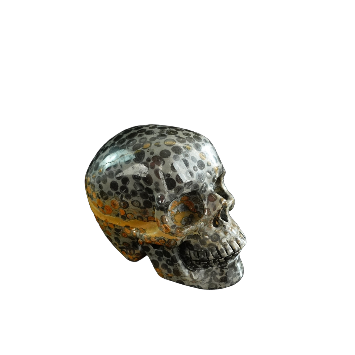 3.0" Leopard skin jasper Crystal Skull Carving - Unique Piece #LK06