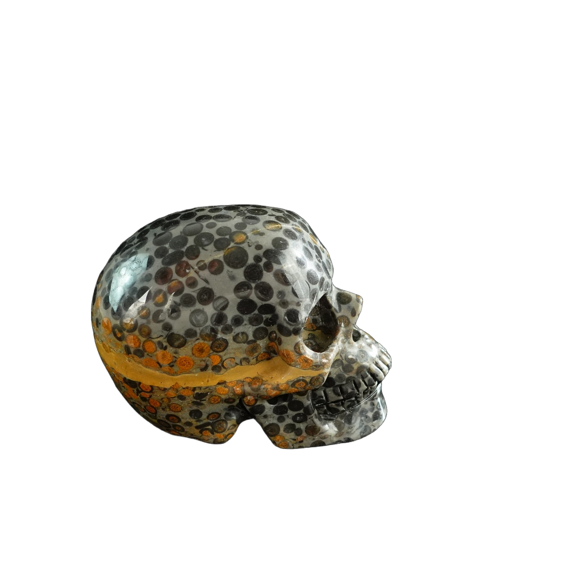 3.0" Leopard skin jasper Crystal Skull Carving - Unique Piece #LK06