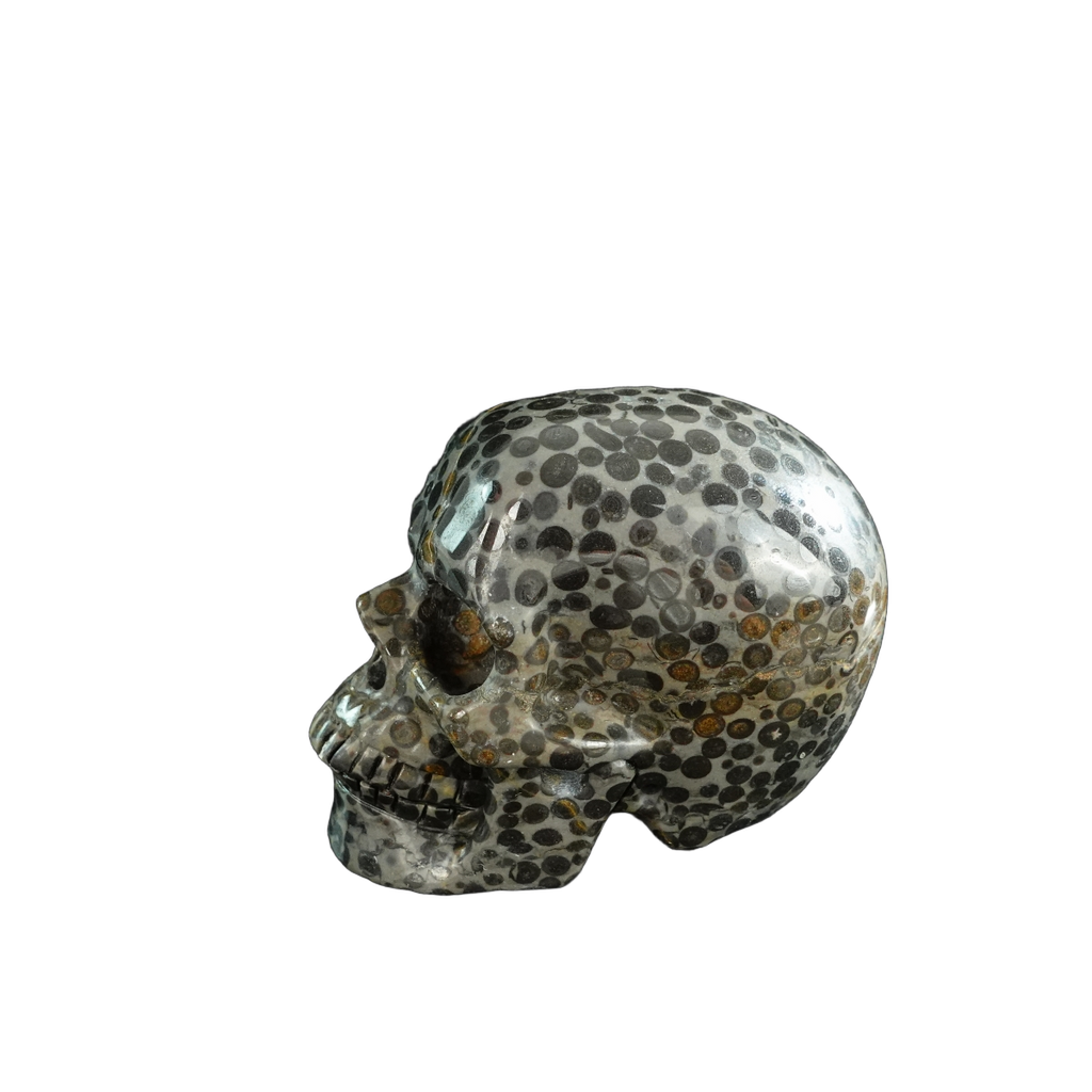 3.0" Leopard skin jasper Crystal Skull Carving - Unique Piece #LK06