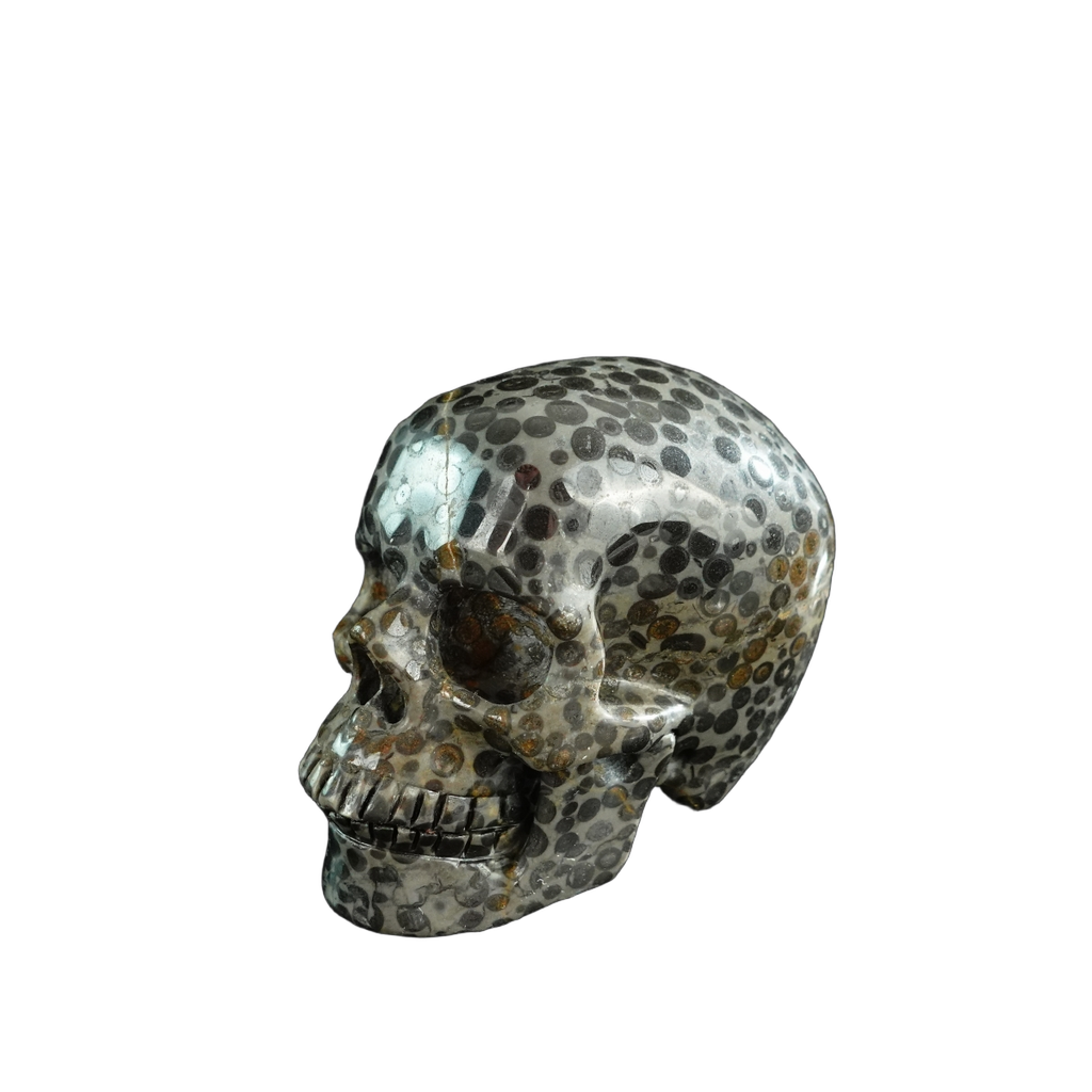 3.0" Leopard skin jasper Crystal Skull Carving - Unique Piece #LK06