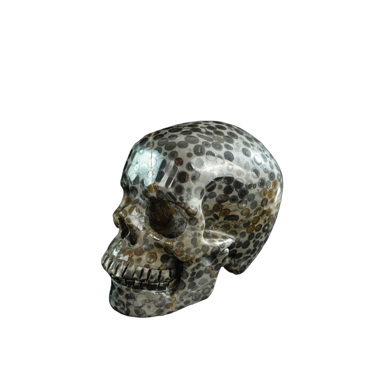 3.0" Leopard skin jasper Crystal Skull Carving - Unique Piece #LK06