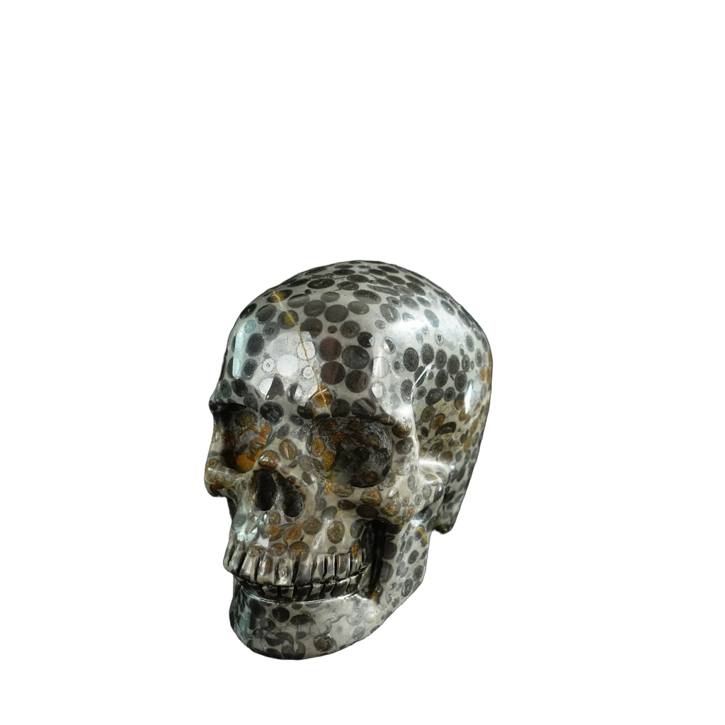 3.0" Leopard skin jasper Crystal Skull Carving - Unique Piece #LK06