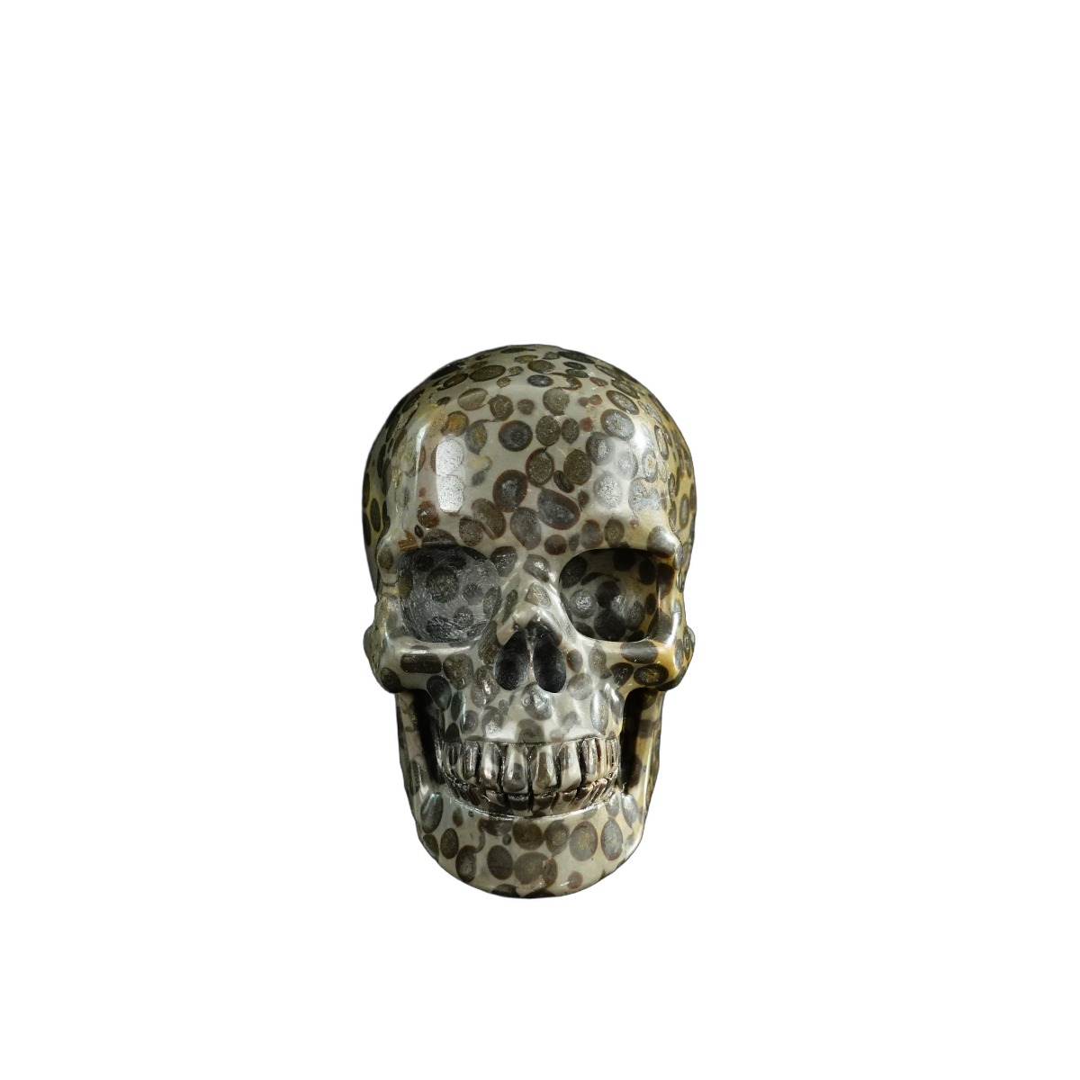 3.0" Leopard skin jasper Crystal Skull Carving - Unique Piece #LK07