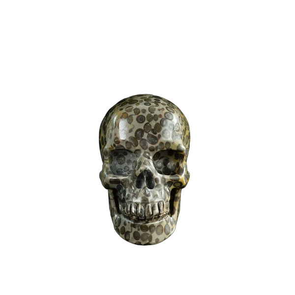 3.0" Leopard skin jasper Crystal Skull Carving - Unique Piece #LK07