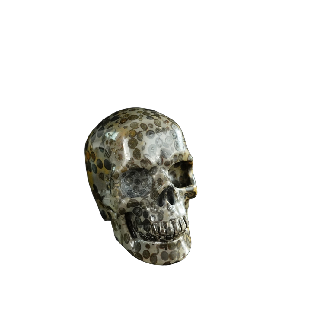 3.0" Leopard skin jasper Crystal Skull Carving - Unique Piece #LK07