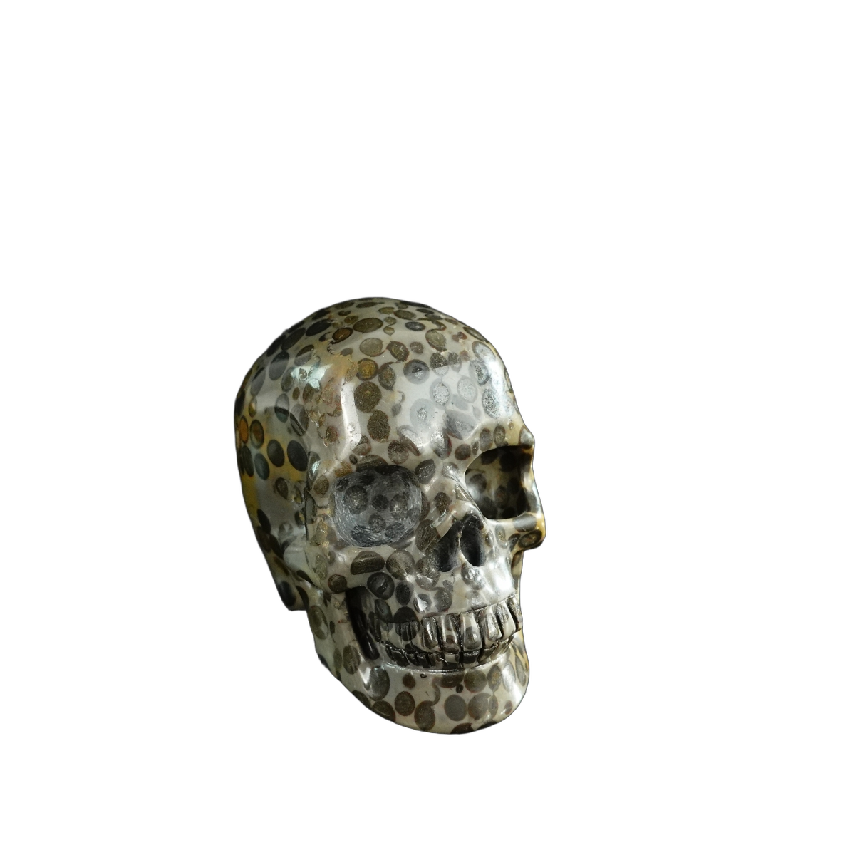 3.0" Leopard skin jasper Crystal Skull Carving - Unique Piece #LK07