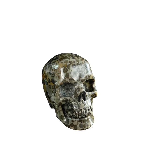 3.0" Leopard skin jasper Crystal Skull Carving - Unique Piece #LK07 - alternate view