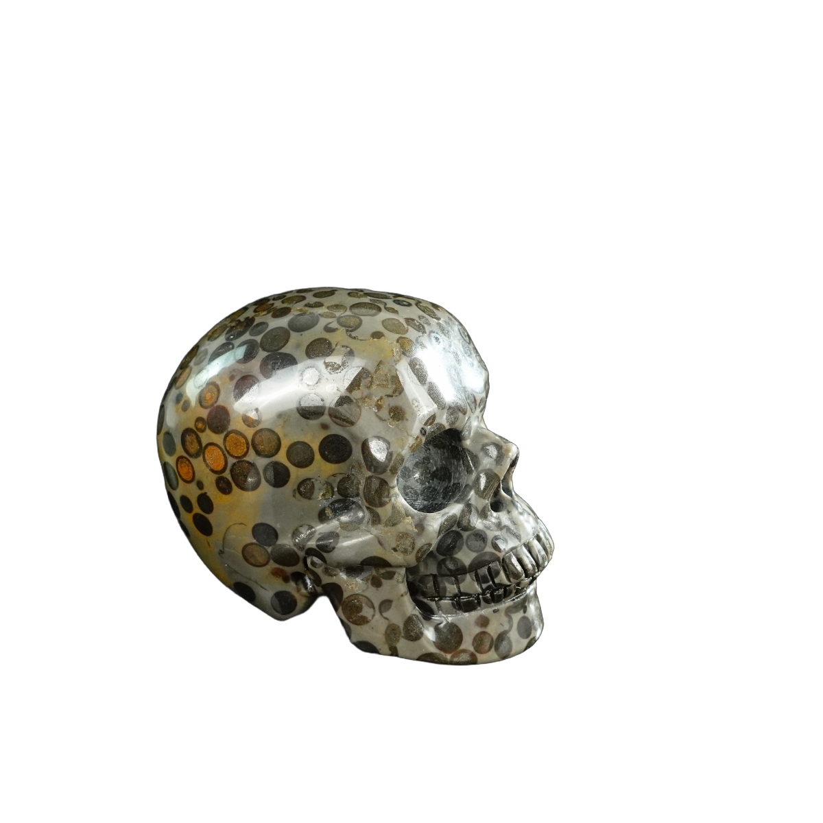 3.0" Leopard skin jasper Crystal Skull Carving - Unique Piece #LK07