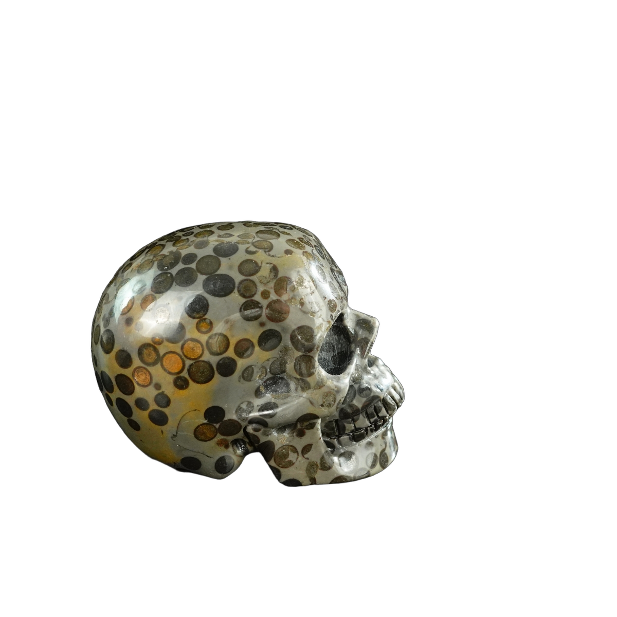 3.0" Leopard skin jasper Crystal Skull Carving - Unique Piece #LK07
