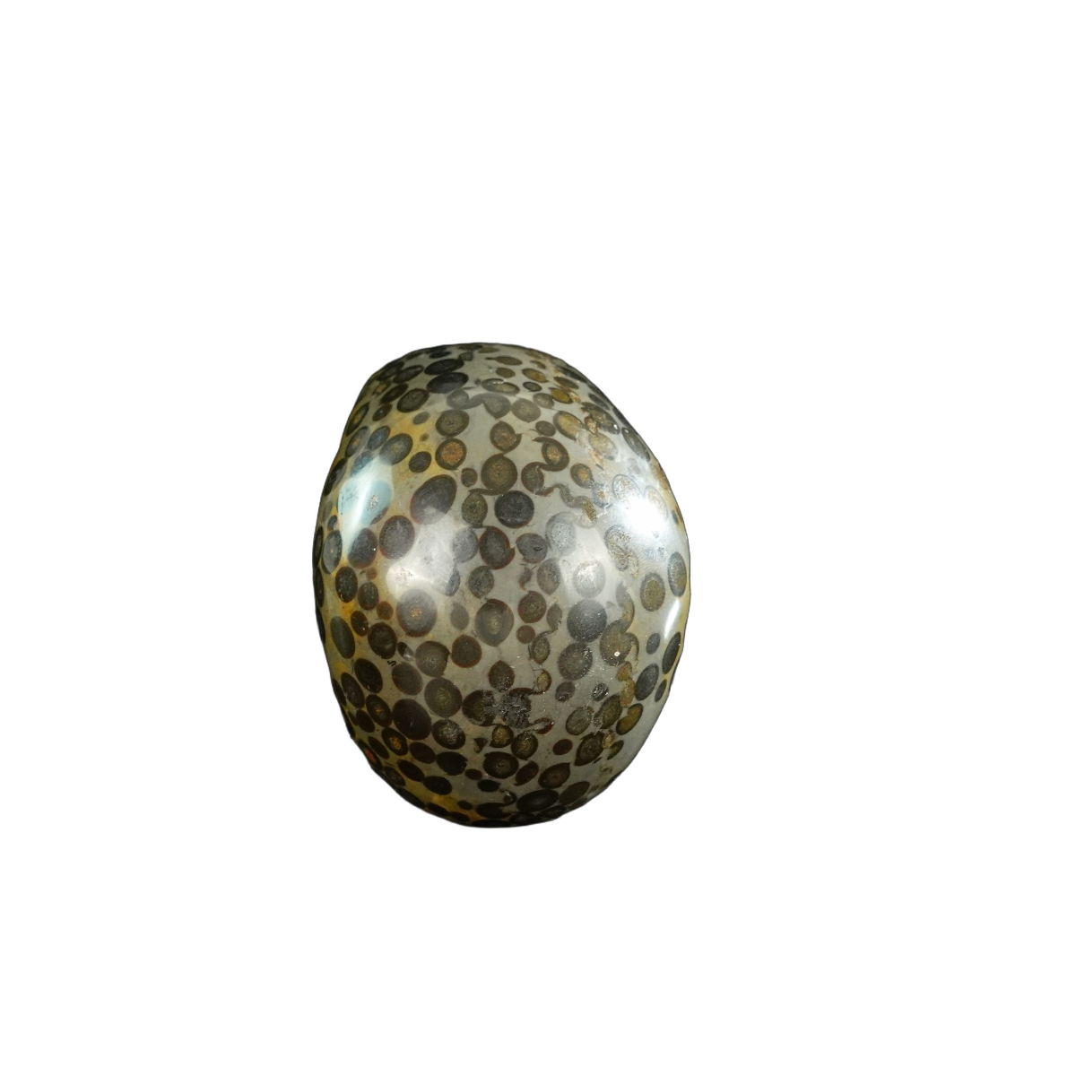 3.0" Leopard skin jasper Crystal Skull Carving - Unique Piece #LK07