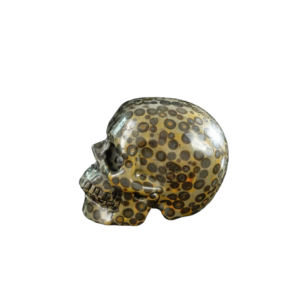 3.0" Leopard skin jasper Crystal Skull Carving - Unique Piece #LK07