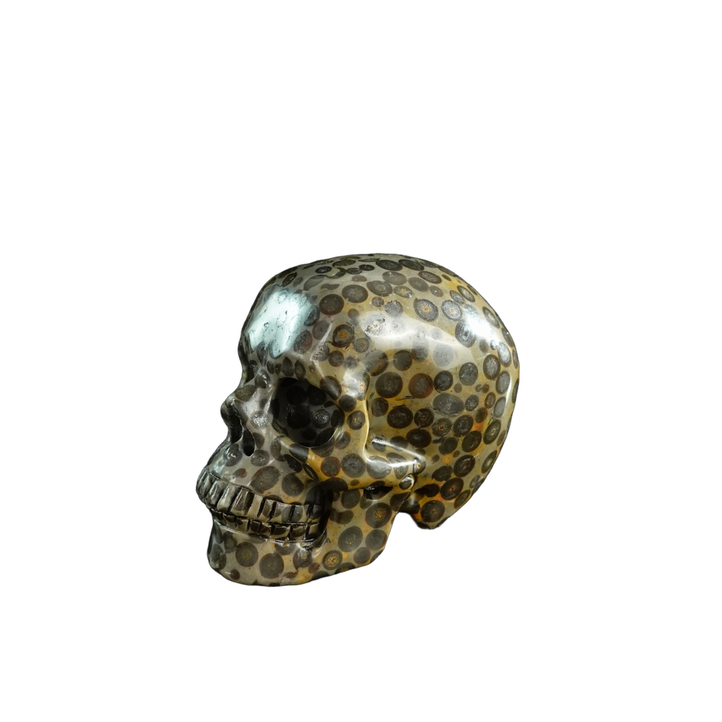 3.0" Leopard skin jasper Crystal Skull Carving - Unique Piece #LK07