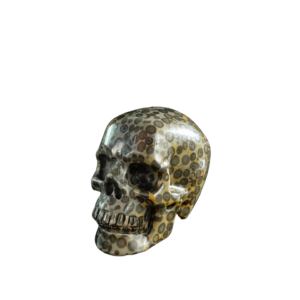 3.0" Leopard skin jasper Crystal Skull Carving - Unique Piece #LK07