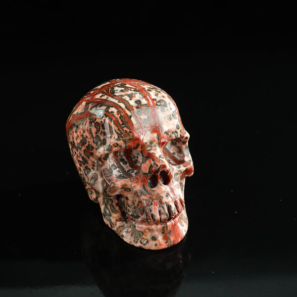 3.0" Red Leopard skin stone Crystal Skull Carving - Unique Piece #LS08 - alternate view