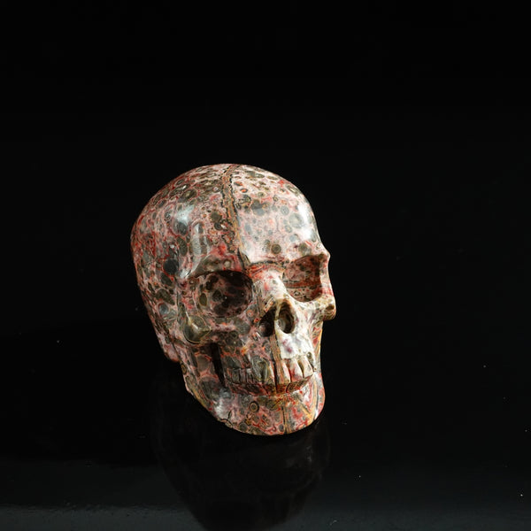 3.0" Red Leopard skin stone Crystal Skull Carving - Unique Piece #LS11 - alternate view