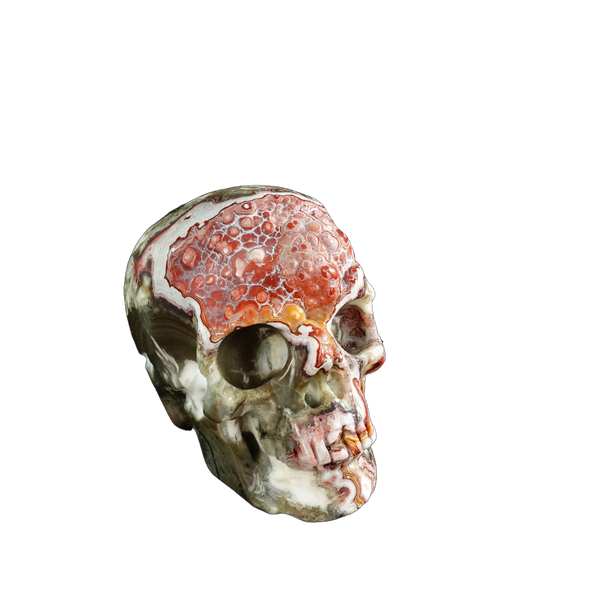 3.0" Red Crazy Lace Agate Crystal Skull Carving - Unique Piece #RC01 - alternate view