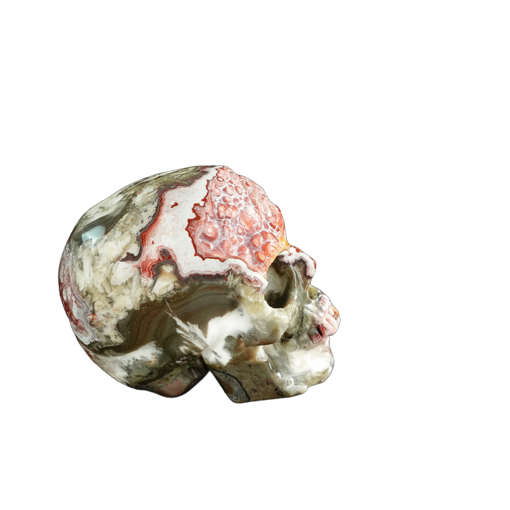 3.0" Red Crazy Lace Agate Crystal Skull Carving - Unique Piece #RC01