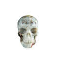 3.0" Red Crazy Lace Agate Crystal Skull Carving - Unique Piece #RC03