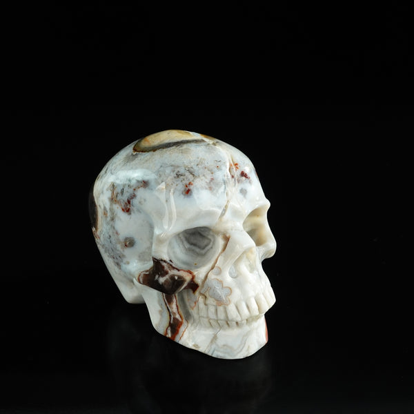3.0" Red Crazy Lace Agate Crystal Skull Carving - Unique Piece #RC03 - alternate view
