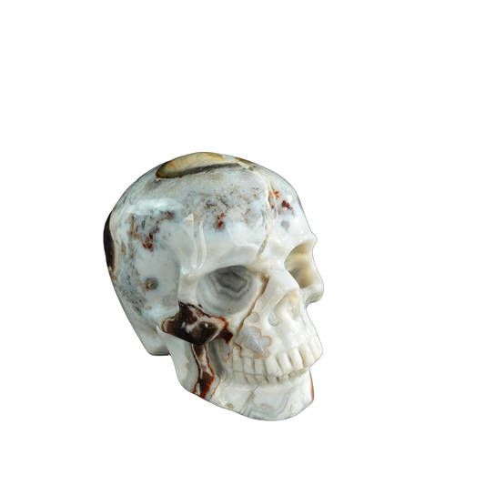 3.0" Red Crazy Lace Agate Crystal Skull Carving - Unique Piece #RC03