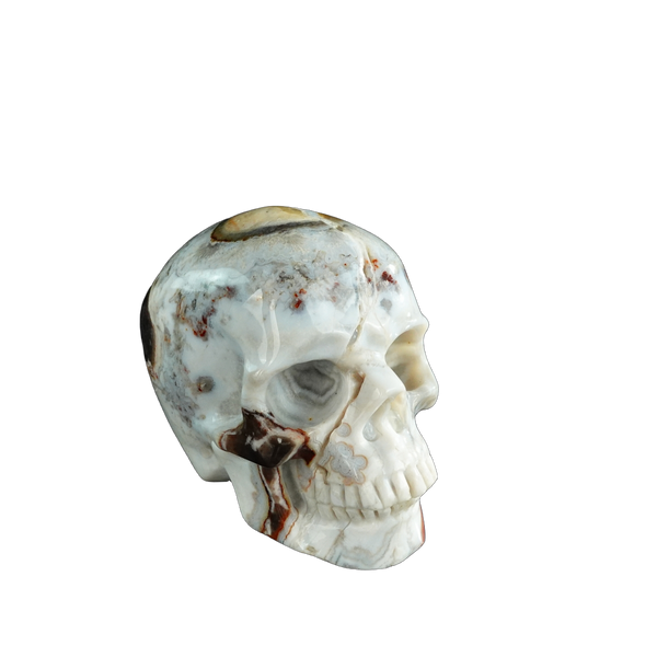 3.0" Red Crazy Lace Agate Crystal Skull Carving - Unique Piece #RC03 - alternate view
