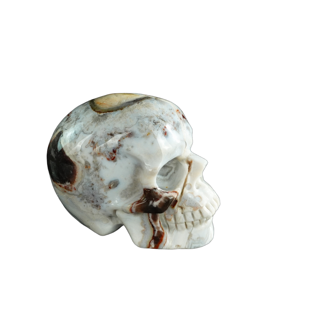 3.0" Red Crazy Lace Agate Crystal Skull Carving - Unique Piece #RC03