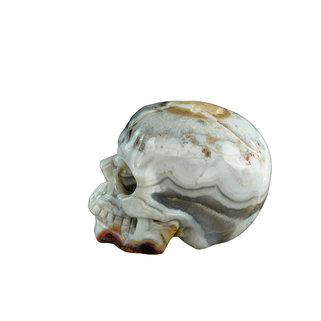 3.0" Red Crazy Lace Agate Crystal Skull Carving - Unique Piece #RC03