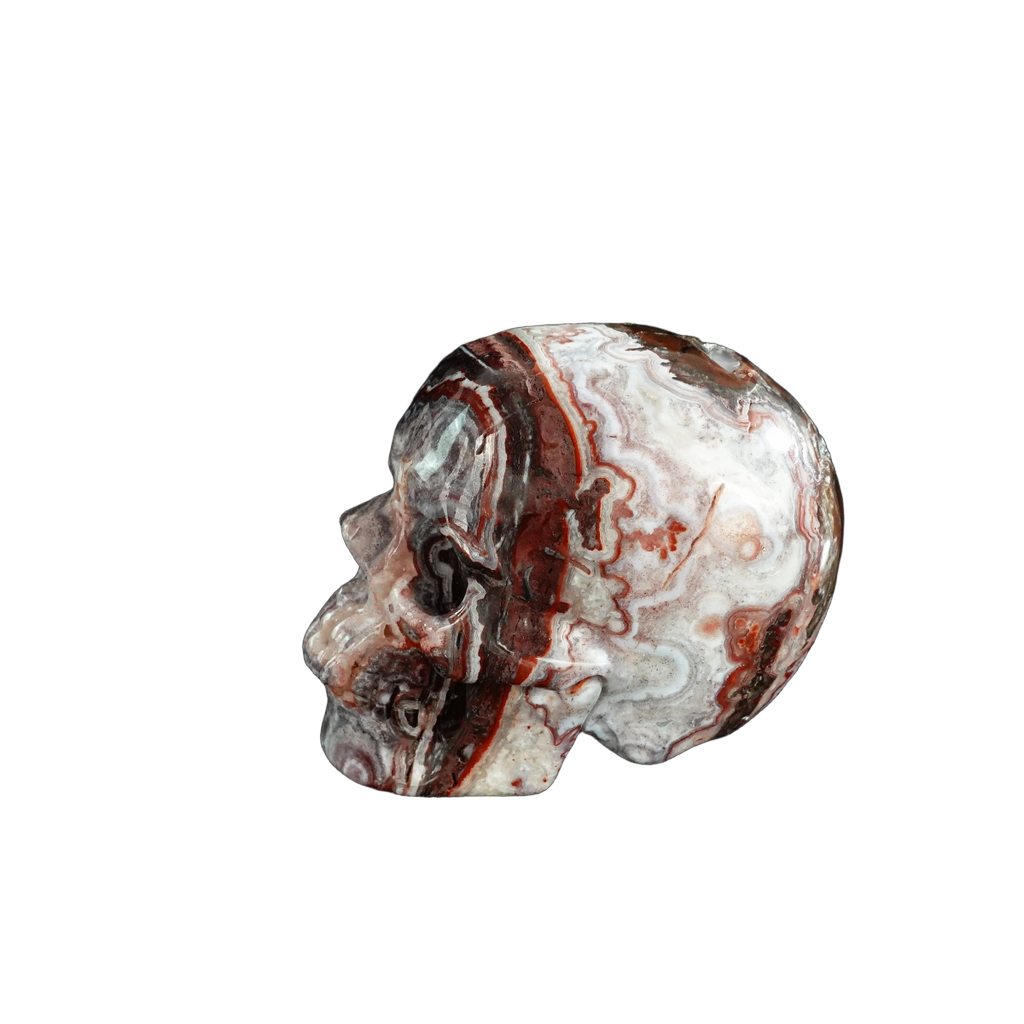 3.0" Red Crazy Lace Agate Crystal Skull Carving - Unique Piece #RC04