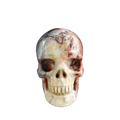 3.0" Red Crazy Lace Agate Crystal Skull Carving - Unique Piece #RC05
