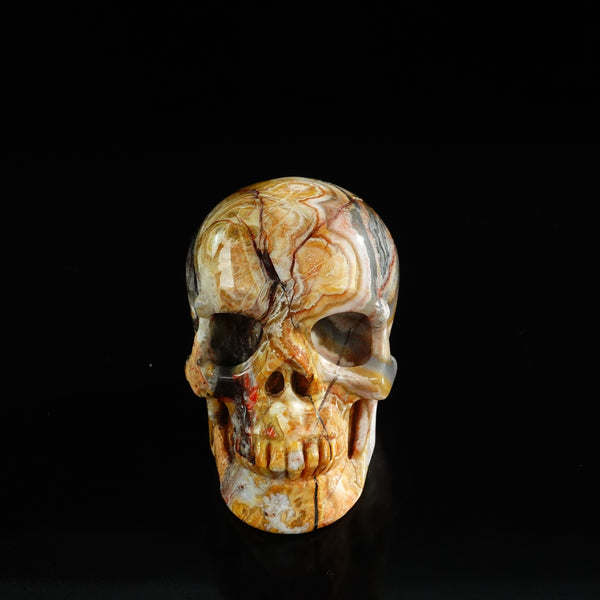 3.0" Red Crazy Lace Agate Crystal Skull Carving - Unique Piece #RC07