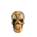 3.0" Red Crazy Lace Agate Crystal Skull Carving - Unique Piece #RC07